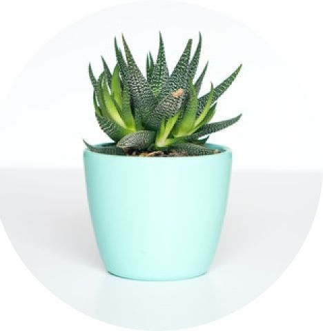 استكشاف الاقسام 